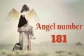 
ANGEL NUMBER 181
